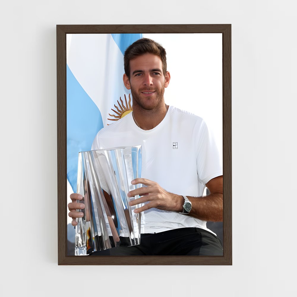 Poster La Victoire de Del Potro – affiche Tennis (vue 5)